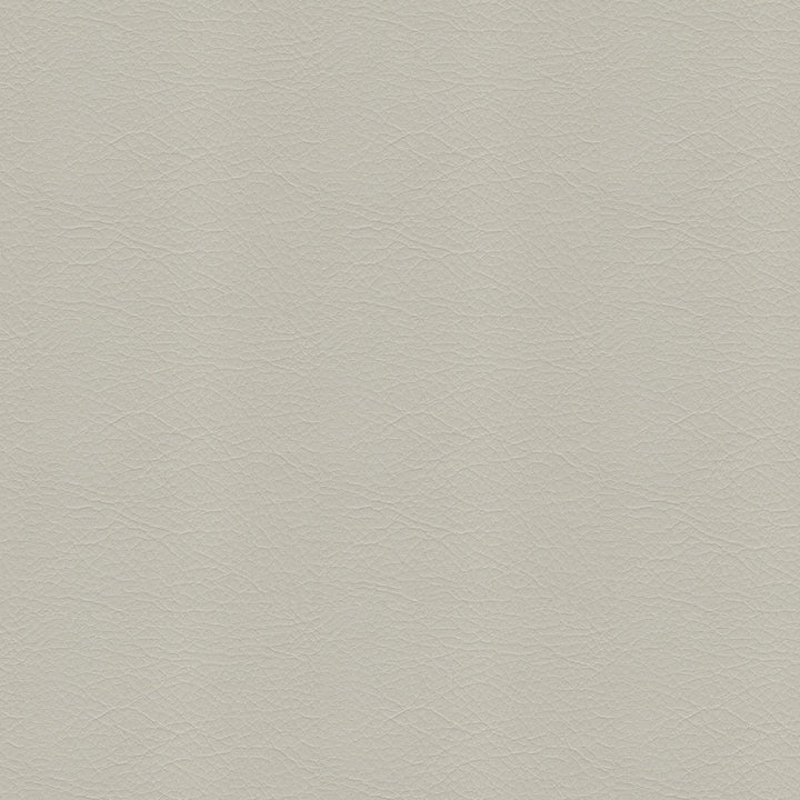 Whisper Vinyl 2156 Putty by Softside Fabric Vinyl/Urethane Topcoat Costa Rica 100,000 Double Rubs (Wyzenbeek) </p><p>Repeat: Horizontal: and Vertical: 54" (137 cm) - Fabric Carolina -