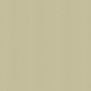 Whisper Vinyl 2158 Cucumber by Softside Fabric