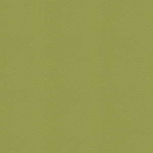 Whisper Vinyl 2160 Sassafras by Softside Fabric