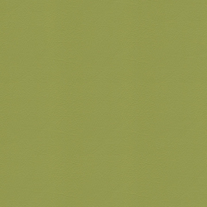 Whisper Vinyl 2160 Sassafras by Softside Fabric Vinyl/Urethane Topcoat Costa Rica 100,000 Double Rubs (Wyzenbeek) </p><p>Repeat: Horizontal: and Vertical: 54" (137 cm) - Fabric Carolina -
