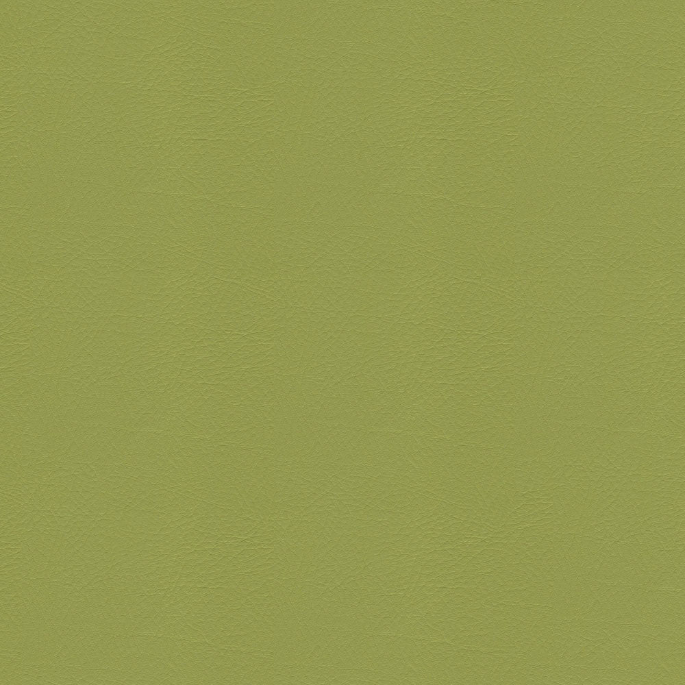 Whisper Vinyl 2160 Sassafras by Softside Fabric N/A Vinyl/Urethane Topcoat Costa Rica 100,000 Double Rubs </p><p>Repeat: Horizontal: and Vertical: 54" (137 cm) - Fabric Carolina -