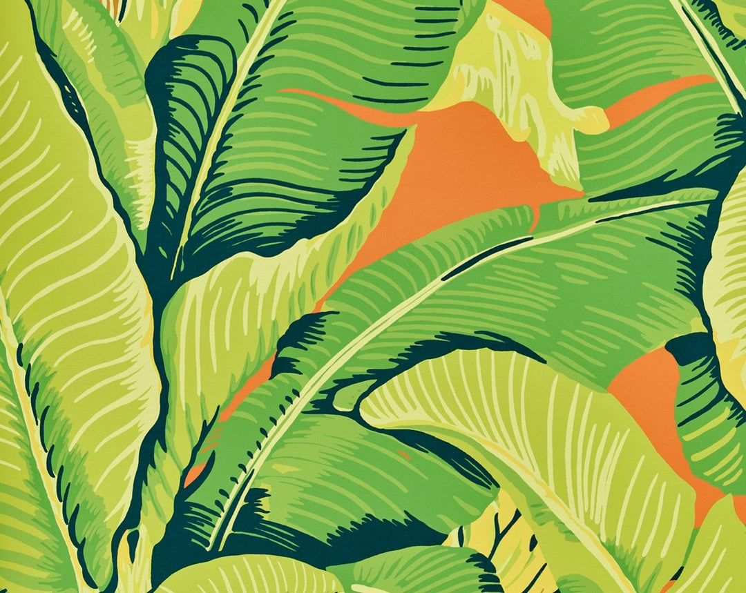 Hinson Palm Aperol Spritz WHN44000M0002 by Hinson Designer Wallpaper