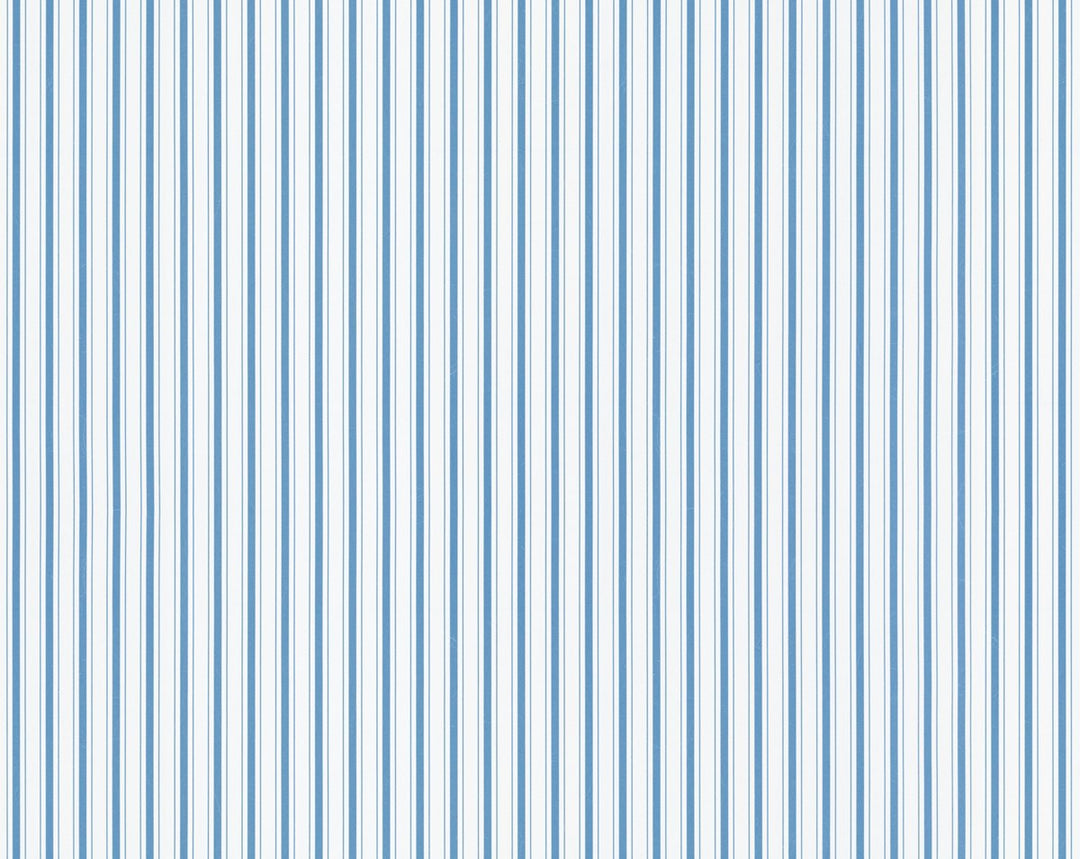 Johnson Stripe Delphinium WHNWP88596D0009 by Hinson Designer Wallpaper