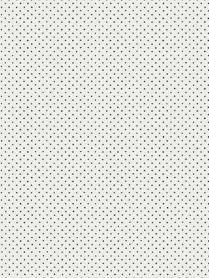 <p>Lee Black On White WHNP0665000E by Scalamandre Wallpaper</p><p><strong>Required Minimum Quantity Purchase: Wallpaper by the Roll</p><p>Book: HINSON ICONS</p><p>Content: </p><p>Origin: U.S.A.</p><p>Performance: </p><p>Repeat: Horizontal: 1.5" and Vertical: 1"</p><p>Width: 27</p>