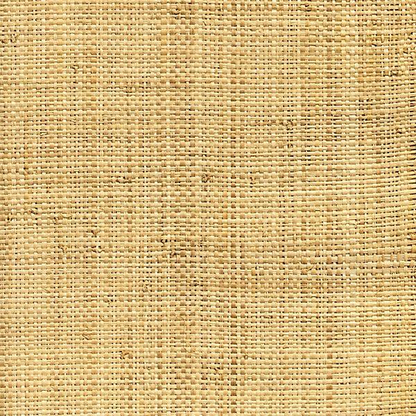 Hinson Madagascar - Coarse/Natural Whn00Aby0390 by Hinson Wallpaper 100% NATURAL STRAW, BACKED USA Horizontal: 0" and Vertical: 0" 46" - Fabric Carolina -