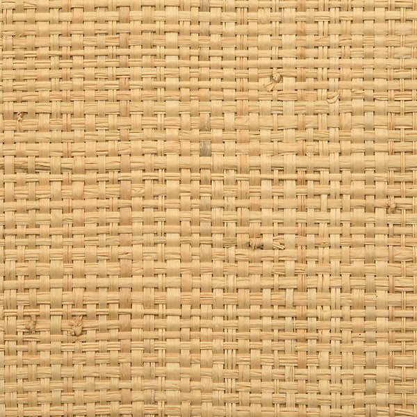 Hinson Madagascar Coarse Natural by Hinson Wallcovering Hinson Wallcovering Hinson Madagascar Coarse NaturalWallcovering 100% NATURAL STRAW, BACKED MADAGASCAR </p><p>Repeat: H: 0", V: 0" 46" - Fabric Carolina -