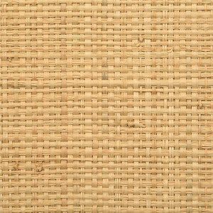 Hinson Madagascar - Coarse/Natural Whn00Aby0390 by Hinson Wallpaper