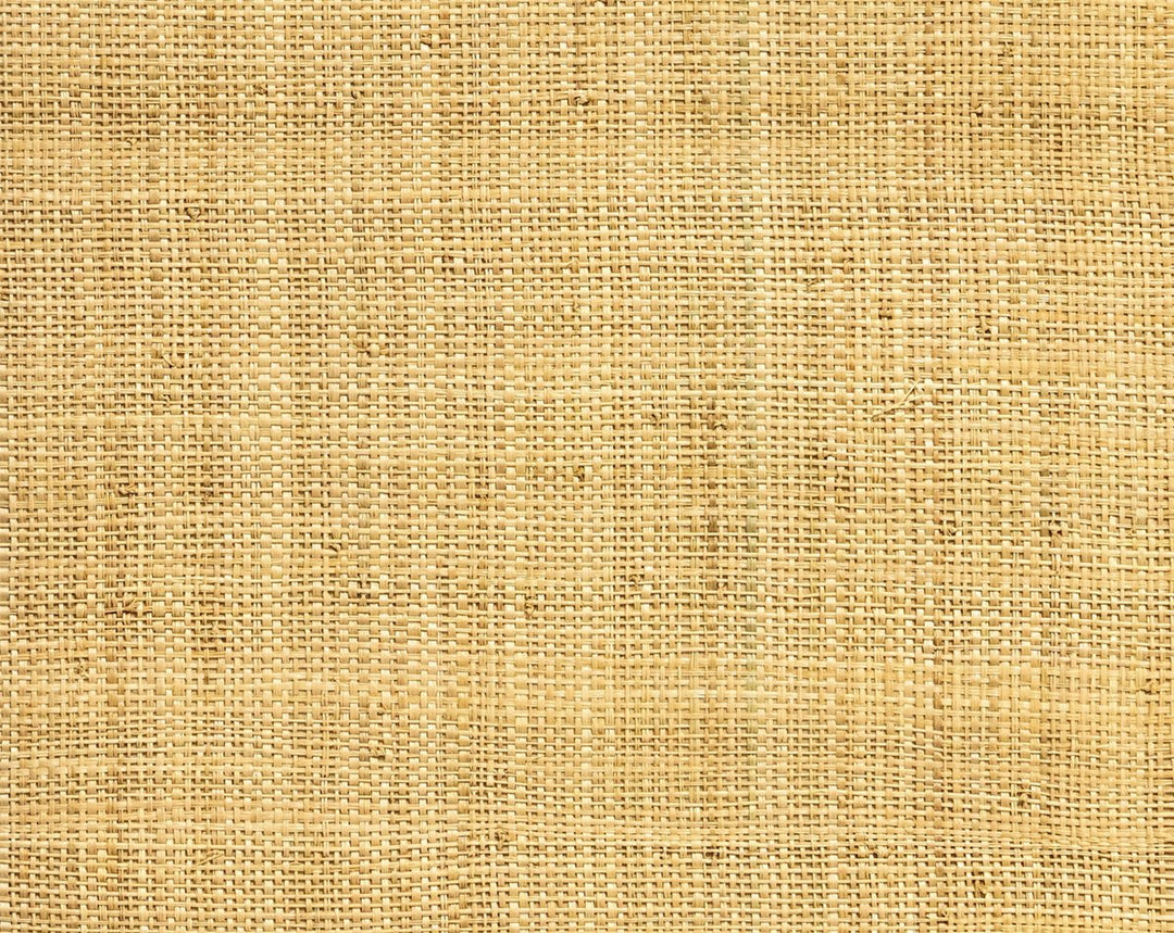 Hinson Madagascar - Fine Natural WHNY039100AB by Hinson Designer Wallpaper