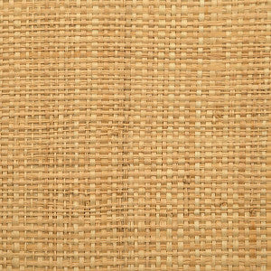 Hinson Madagascar - Fine/Natural Whn00Aby0391 by Hinson Wallpaper