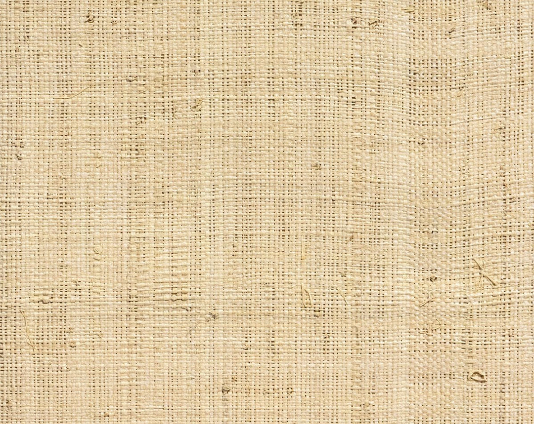 Hinson Madagascar - Fine Whitewashed WHNY039100WB by Hinson Designer Wallpaper