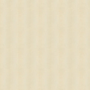 Whoa Nelly Pearl by Kravet Couture Fabric