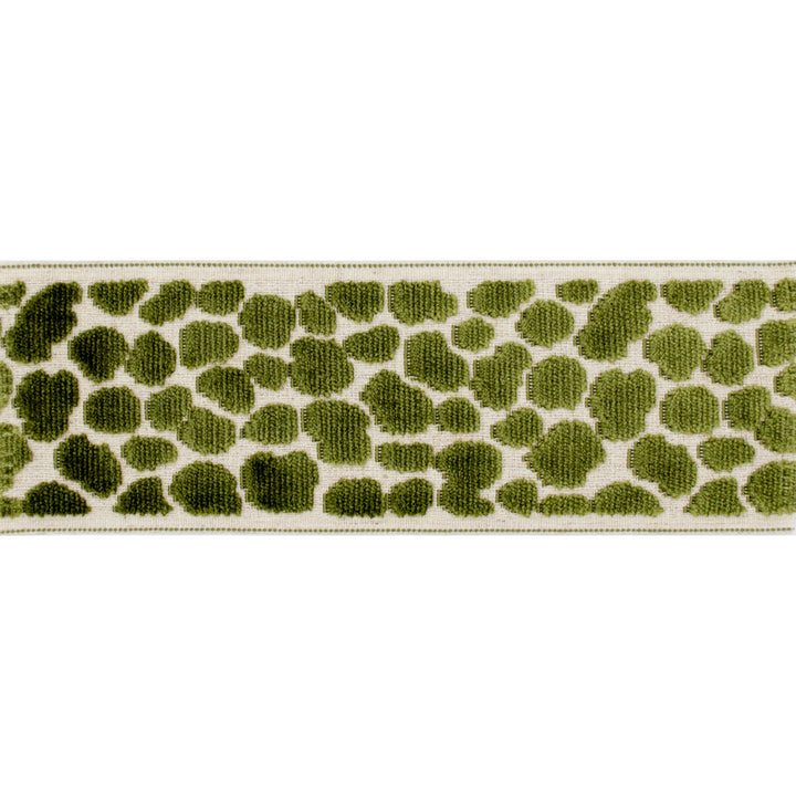 Wilder Tape Lime by Magnolia Trim - 58% Rayon, 31% Poly, 11% Linen China Horizontal: and Vertical: 3.5 - Fabric Carolina -