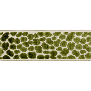 Wilder Tape Lime by Magnolia Trim