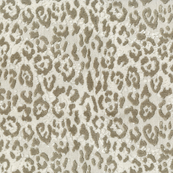 Lipped 601 Latte by ABBEYSHEA Fabric 55% Cotton
45% Polyester CN 42,000 Double Rubs (Wyzenbeek) </p><p>Repeat: Horizontal: 13.5 in. (24.30 cm) up the roll and Vertical: 7.75 in. (19.69 cm) across the roll 56 in. (142 cm) - Fabric Carolina -
