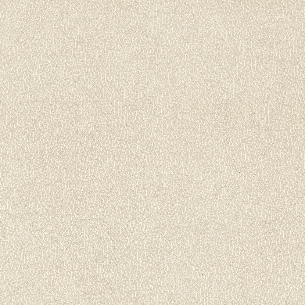 Wilkinson 1 Ash by Stout Fabric ON THE GO 100%POU 1%OTH CHINA FLAME RETARDANT-CA BULLETIN 117-SECTION E FLAME RETARDANT-U.F.A.C. CLASS 1 FLAME RETARDANT-N.F.P.A. 260A CLASS 1 WYZENBEEK 500 000 DOUBLE RUB WEAR TEST(EXTREMELY HEAVY DUTY) FLAME RETARDANT-FMVSS 302 Horizontal: 0 and Vertical: 0 54 in - Fabric Carolina -