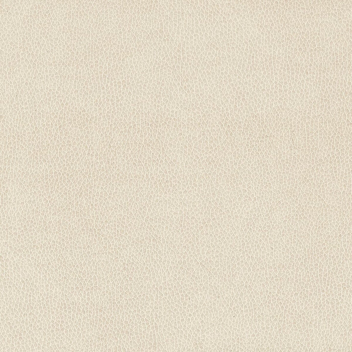Wilkinson 1 Ash by Stout Fabric Stout Fabric Wilkinson 1 AshFabric ON THE GO CHINA </p><p>Repeat: H: 0.000, V: 0.000 54 in - Fabric Carolina -