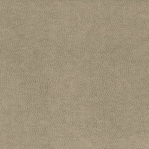 Wilkinson 2 Dove by Stout Fabric
