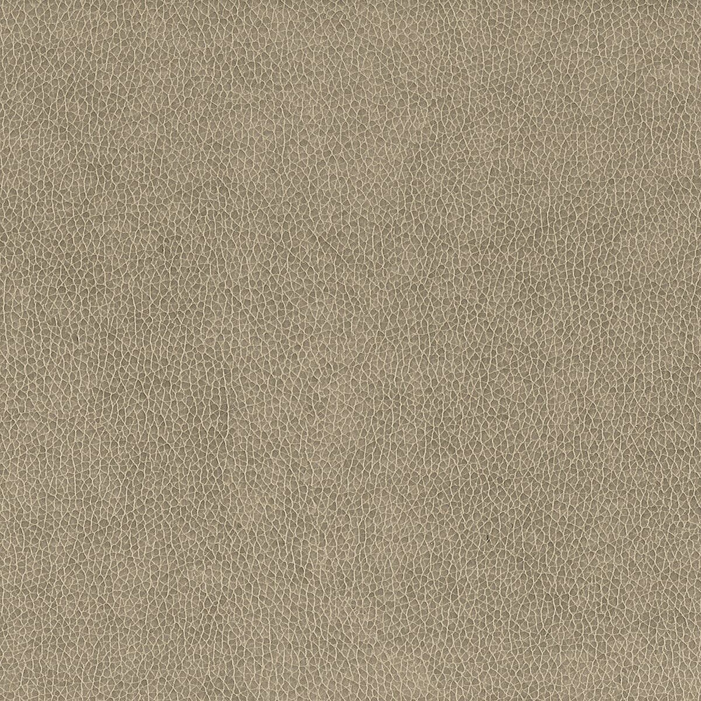 Wilkinson 2 Dove by Stout Fabric ON THE GO 100%POU 1%OTH CHINA FLAME RETARDANT-CA BULLETIN 117-SECTION E FLAME RETARDANT-U.F.A.C. CLASS 1 FLAME RETARDANT-N.F.P.A. 260A CLASS 1 WYZENBEEK 500 000 DOUBLE RUB WEAR TEST(EXTREMELY HEAVY DUTY) FLAME RETARDANT-FMVSS 302 Horizontal: 0 and Vertical: 0 54 in - Fabric Carolina -