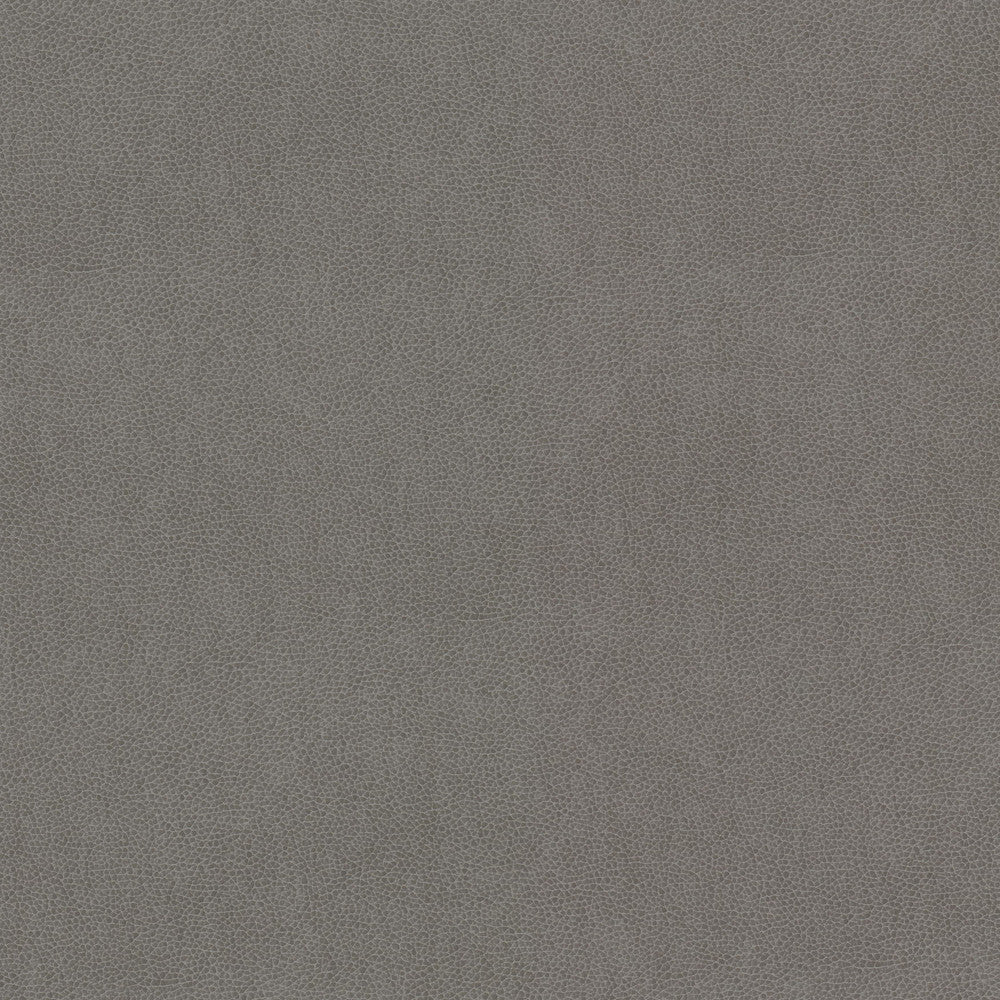 Wilkinson 2 Dove by Stout Fabric ON THE GO 100%POU 1%OTH CHINA FLAME RETARDANT-CA BULLETIN 117-CLASS 1 WYZENBEEK 15 000 DOUBLE RUB WEAR TEST (HEAVY DUTY) CATB 117-2013 Horizontal: 0.000 and Vertical: 0.000 54 in - Fabric Carolina -