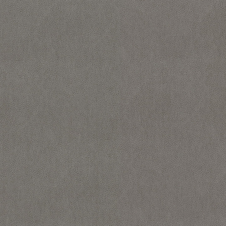 Wilkinson 2 Dove by Stout Fabric ON THE GO 100%POU 1%OTH CHINA FLAME RETARDANT-CA BULLETIN 117-CLASS 1 WYZENBEEK 15 000 DOUBLE RUB WEAR TEST (HEAVY DUTY) CATB 117-2013 Horizontal: 0.000 and Vertical: 0.000 54 in - Fabric Carolina -