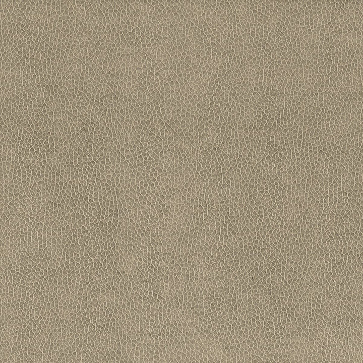 Wilkinson 2 Dove by Stout Fabric ON THE GO 100%POU 1%OTH CHINA FLAME RETARDANT-CA BULLETIN 117-SECTION E FLAME RETARDANT-U.F.A.C. CLASS 1 FLAME RETARDANT-N.F.P.A. 260A CLASS 1 WYZENBEEK 500 000 DOUBLE RUB WEAR TEST(EXTREMELY HEAVY DUTY) FLAME RETARDANT-FMVSS 302 </p><p>Repeat: 0 54 in - Fabric Carolina -