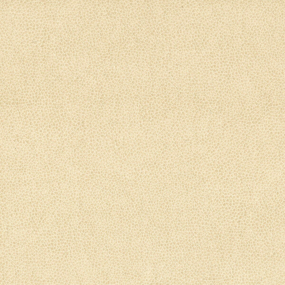 Wilkinson 3 Sandune by Stout Fabric ON THE GO 100%POU 1%OTH CHINA FLAME RETARDANT-CA BULLETIN 117-SECTION E FLAME RETARDANT-U.F.A.C. CLASS 1 FLAME RETARDANT-N.F.P.A. 260A CLASS 1 WYZENBEEK 500 000 DOUBLE RUB WEAR TEST(EXTREMELY HEAVY DUTY) FLAME RETARDANT-FMVSS 302 Horizontal: 0 and Vertical: 0 54 in - Fabric Carolina -