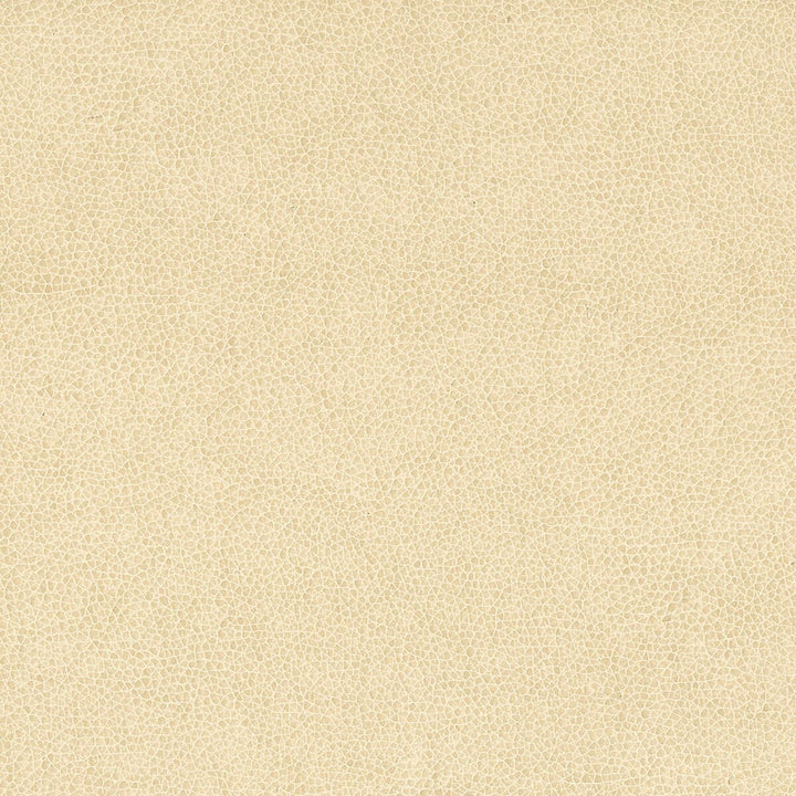 Wilkinson 3 Sandune by Stout Fabric ON THE GO 100%POU 1%OTH CHINA FLAME RETARDANT-CA BULLETIN 117-SECTION E FLAME RETARDANT-U.F.A.C. CLASS 1 FLAME RETARDANT-N.F.P.A. 260A CLASS 1 WYZENBEEK 500 000 DOUBLE RUB WEAR TEST(EXTREMELY HEAVY DUTY) FLAME RETARDANT-FMVSS 302 Horizontal: 0 and Vertical: 0 54 in - Fabric Carolina -