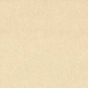 Wilkinson 3 Sandune by Stout Fabric