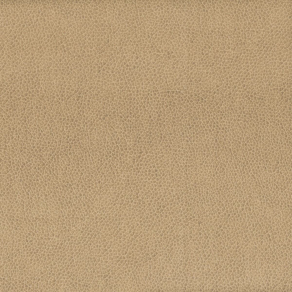 Wilkinson 4 Fawn by Stout Fabric ON THE GO 100%POU 1%OTH CHINA FLAME RETARDANT-CA BULLETIN 117-SECTION E FLAME RETARDANT-U.F.A.C. CLASS 1 FLAME RETARDANT-N.F.P.A. 260A CLASS 1 WYZENBEEK 500 000 DOUBLE RUB WEAR TEST(EXTREMELY HEAVY DUTY) FLAME RETARDANT-FMVSS 302 Horizontal: 0 and Vertical: 0 54 in - Fabric Carolina -