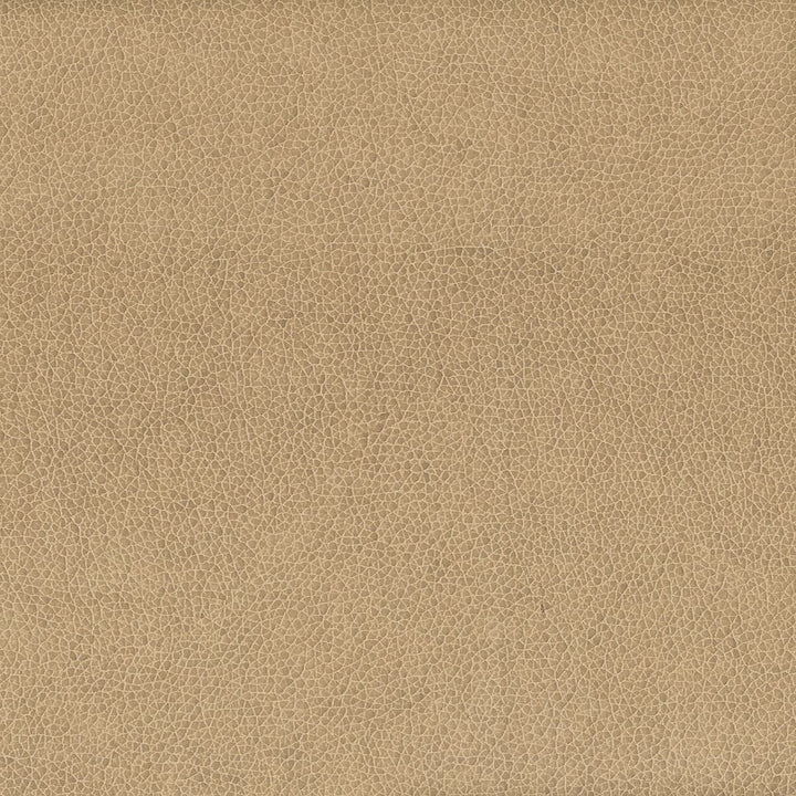 Wilkinson 4 Fawn by Stout Fabric ON THE GO 100%POU 1%OTH CHINA FLAME RETARDANT-CA BULLETIN 117-SECTION E FLAME RETARDANT-U.F.A.C. CLASS 1 FLAME RETARDANT-N.F.P.A. 260A CLASS 1 WYZENBEEK 500 000 DOUBLE RUB WEAR TEST(EXTREMELY HEAVY DUTY) FLAME RETARDANT-FMVSS 302 </p><p>Repeat: 0 54 in - Fabric Carolina -