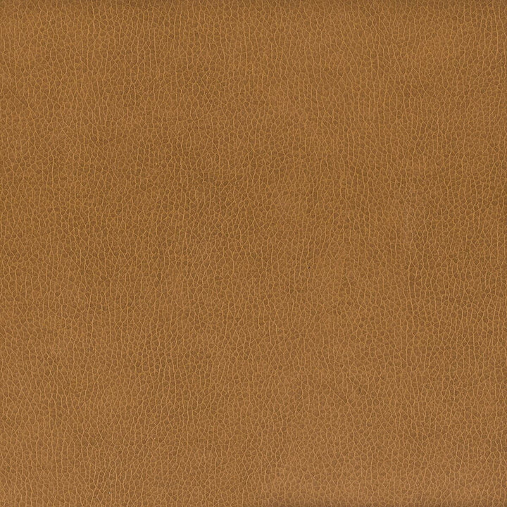 Wilkinson 5 Oak by Stout Fabric On The Go 100% Polyurethane 1% Other CHINA FLAME RETARDANT-CA BULLETIN 117-SECTION E FLAME RETARDANT-U.F.A.C. CLASS 1 (OR A) FLAME RETARDANT-N.F.P.A. 260A CLASS 1 WYZENBEEK 500 000 DOUBLE RUB WEAR TEST(EXTREMELY HEAVY DUTY) FLAME RETARDANT-FMVSS 302 Horizontal: 0 and Vertical: 0 54 in - Fabric Carolina -