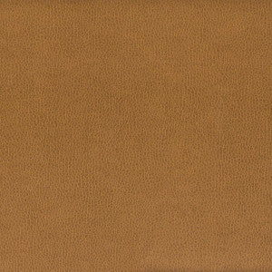 Wilkinson 5 Oak by Stout Fabric