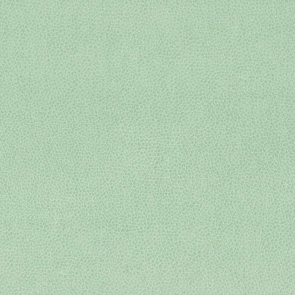 Wilkinson 6 Spa by Stout Fabric ON THE GO 100%POU 1%OTH CHINA FLAME RETARDANT-CA BULLETIN 117-SECTION E FLAME RETARDANT-U.F.A.C. CLASS 1 FLAME RETARDANT-N.F.P.A. 260A CLASS 1 WYZENBEEK 500 000 DOUBLE RUB WEAR TEST(EXTREMELY HEAVY DUTY) FLAME RETARDANT-FMVSS 302 Horizontal: 0 and Vertical: 0 54 in - Fabric Carolina -