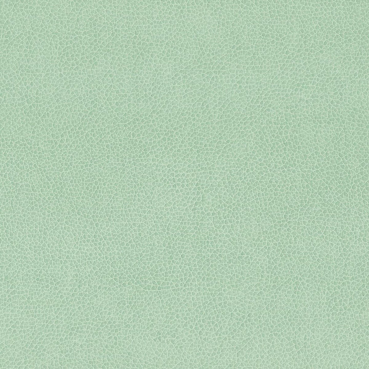Wilkinson 6 Spa by Stout Fabric ON THE GO 100%POU 1%OTH CHINA FLAME RETARDANT-CA BULLETIN 117-SECTION E FLAME RETARDANT-U.F.A.C. CLASS 1 FLAME RETARDANT-N.F.P.A. 260A CLASS 1 WYZENBEEK 500 000 DOUBLE RUB WEAR TEST(EXTREMELY HEAVY DUTY) FLAME RETARDANT-FMVSS 302 Horizontal: 0 and Vertical: 0 54 in - Fabric Carolina -