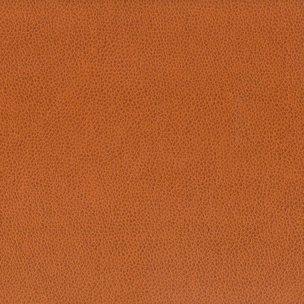 Wilkinson 7 Cognac by Stout Fabric On The Go 100% Polyurethane 1% Other CHINA FLAME RETARDANT-CA BULLETIN 117-SECTION E FLAME RETARDANT-U.F.A.C. CLASS 1 (OR A) FLAME RETARDANT-N.F.P.A. 260A CLASS 1 WYZENBEEK 500 000 DOUBLE RUB WEAR TEST(EXTREMELY HEAVY DUTY) FLAME RETARDANT-FMVSS 302 Horizontal: 0 and Vertical: 0 54 in - Fabric Carolina -
