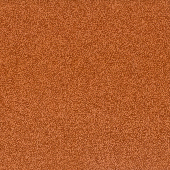 Wilkinson 7 Cognac by Stout Fabric ON THE GO 100%POU 1%OTH CHINA FLAME RETARDANT-CA BULLETIN 117-SECTION E FLAME RETARDANT-U.F.A.C. CLASS 1 FLAME RETARDANT-N.F.P.A. 260A CLASS 1 WYZENBEEK 500 000 DOUBLE RUB WEAR TEST(EXTREMELY HEAVY DUTY) FLAME RETARDANT-FMVSS 302 Horizontal: 0 and Vertical: 0 54 in - Fabric Carolina -