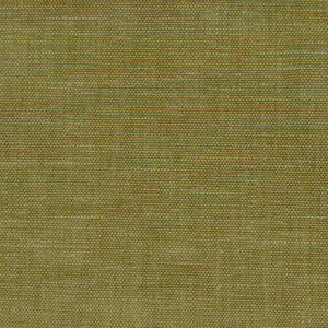 Wilkes Green Tea by Magnolia Fabric