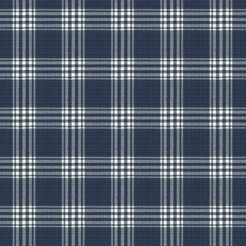 Wilma 1 Ink by Stout Fabric RAINBOW LIBRARY BLUEBIRD/INDIGO 100%COT INDIA WYZENBEEK 50 000 DOUBLE RUB WEAR TEST (HEAVY DUTY) </p><p>Repeat: 4.5 54 in - Fabric Carolina -
