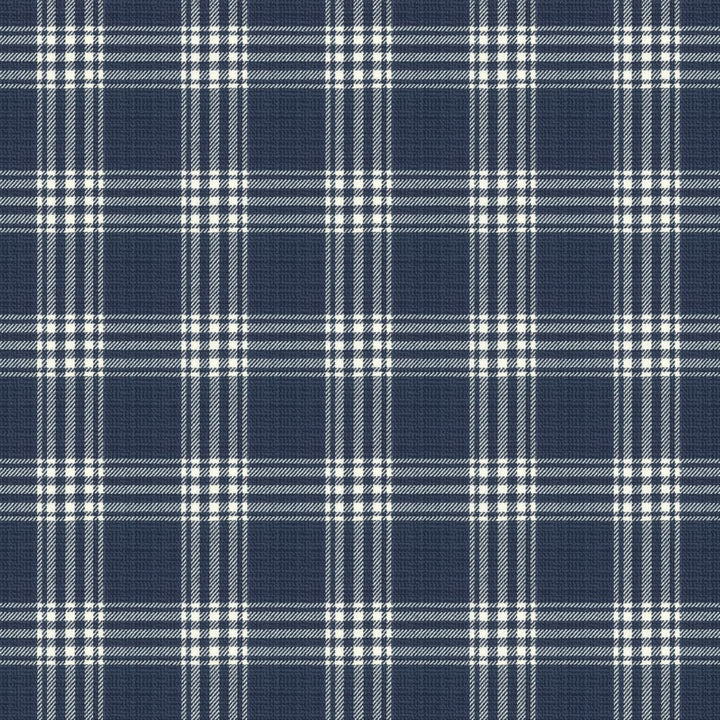 Wilma 1 Ink by Stout Fabric RAINBOW LIBRARY BLUEBIRD/INDIGO 100%COT INDIA WYZENBEEK 50 000 DOUBLE RUB WEAR TEST (HEAVY DUTY) </p><p>Repeat: 4.5 54 in - Fabric Carolina -