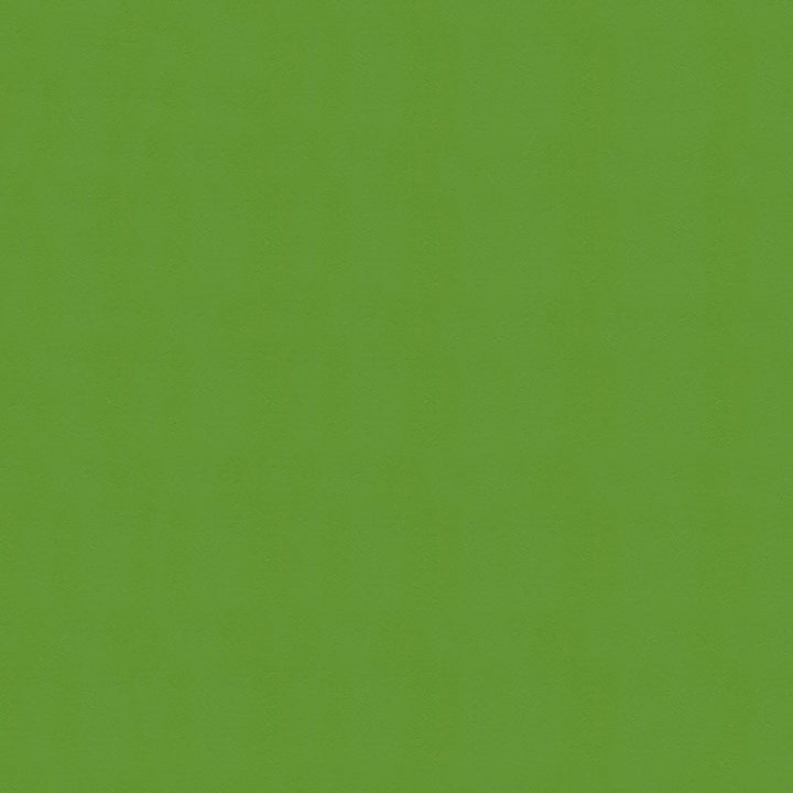 Windsong 717 Lime Cooler by Ship to Shore Designer Fabric 100% Polyvinyl Chloride (PVC) Taiwan </p><p>Repeat: Horizontal: and Vertical: 54" (137 cm) - Swanky Fabrics -