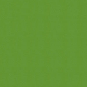 Windsong 717 Lime Cooler by Ship to Shore Fabric