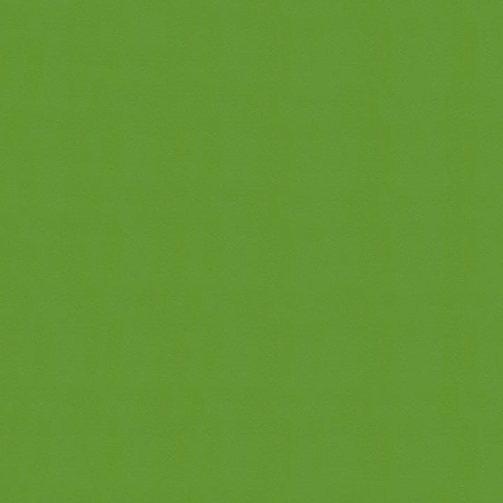 Windsong 717 Lime Cooler by Ship to Shore Fabric N/A 100% Polyvinyl Chloride (PVC) Taiwan 100,000 Double Rubs </p><p>Repeat: Horizontal: and Vertical: 54" (137 cm) - Fabric Carolina -