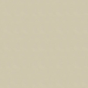 Windsong 719 Maui Sand by Ship to Shore Fabric