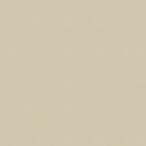 Windsong 719 Maui Sand by Ship to Shore Fabric
