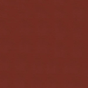 Windsong 737 Cajun Spice by Ship to Shore Fabric