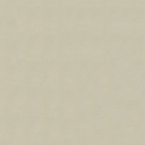 Windsong 753 Vanilla Cream by Ship to Shore Fabric