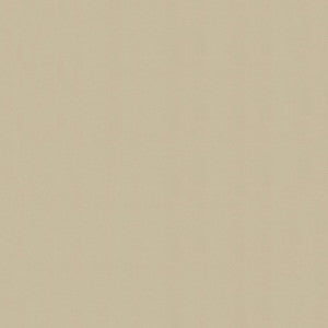 Windsong 754 Baja Tan by Ship to Shore Fabric