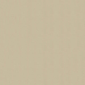 Windsong 754 Baja Tan by Ship to Shore Fabric