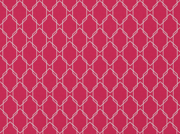 Wireframe 722 Fuchsia by Covington Fabric 60% COTTON, 40% POLYESTER Turkey 100000 Horizontal: 3.5 and Vertical: 4.5 57 - Fabric Carolina -