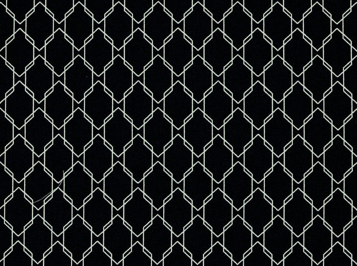 Wireframe 99 Onyx by Covington Fabric 60% COTTON, 40% POLYESTER Turkey 100000 Horizontal: 3.5 and Vertical: 4.5 57 - Fabric Carolina -